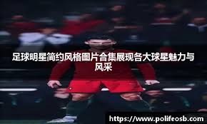托尼：我的孩子听腻了06年夺冠的故事，希望加图索别掉链子